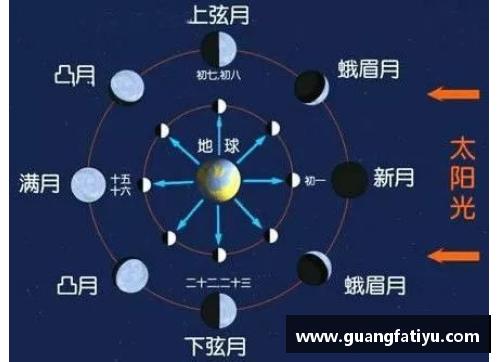 月球影响下的生物钟：地球与月球之间的时间共振