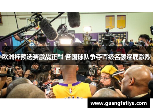 欧洲杯预选赛激战正酣 各国球队争夺晋级名额逐鹿激烈